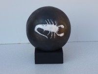 /album/divers/scorpion-3-jpg/